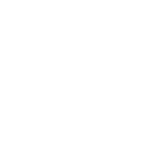 RegStaer